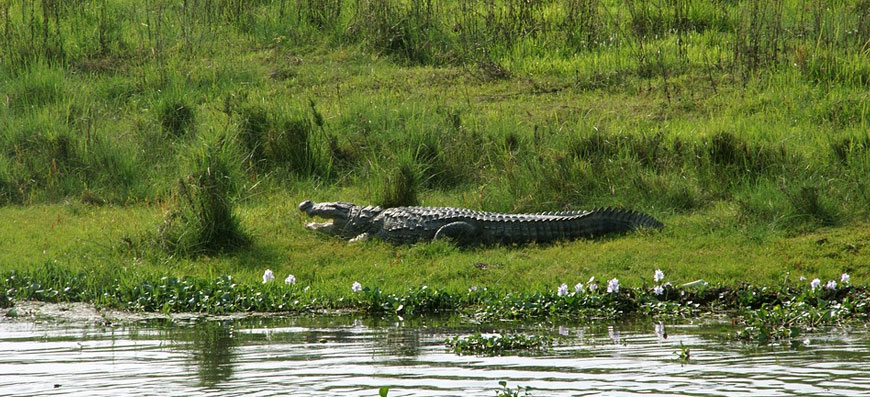 11 Reasons Nepal is The Best Travel Destination For Nature Lovers